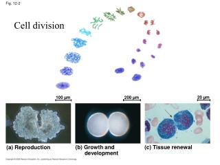 Fig. 12-2