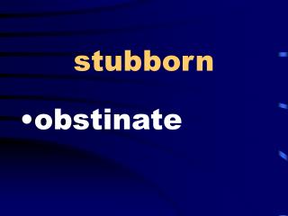 stubborn