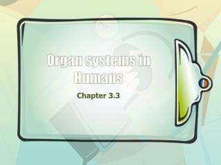 Organ systems in Humans