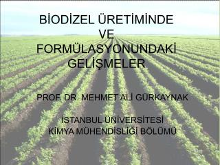 BİODİZEL ÜRETİMİNDE VE FORMÜLASYONUNDAKİ GELİŞMELER