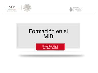 Formación en el MIB