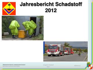 Jahresbericht Schadstoff 2012