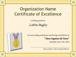 Organization Name Certificate of Excellence