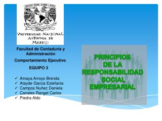 PRINCIPIOS DE LA RESPONSABILIDAD SOCIAL EMPRESARIAL