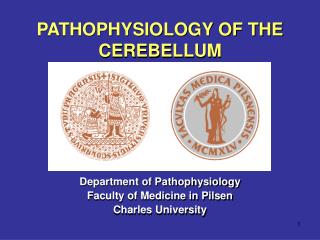 PATHOPHYSIOLOGY OF THE CEREBELLUM