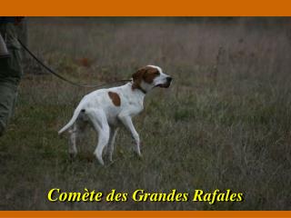 Comète des Grandes Rafales