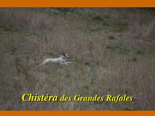 Chistéra des Grandes Rafales