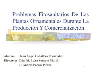 Problemas Fitosanitarios De Las Plantas Ornamentales Durante La Producción Y Comercialización
