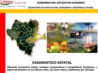 DIAGNOSTICO ESTATAL