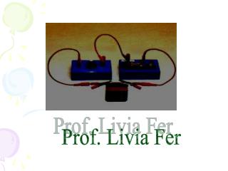 Prof. Livia Fer