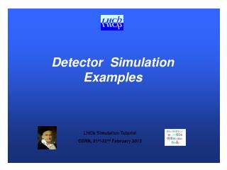 Detector Simulation Examples