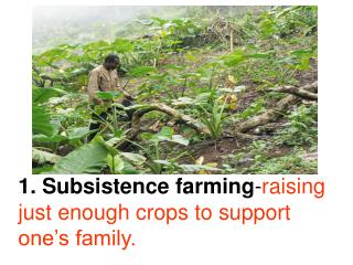 Subsistence farming - raising just enough crops to support one’s family.