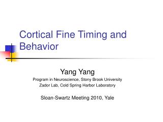 Cortical Fine Timing and Behavior