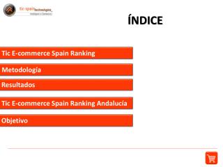 Tic E- commerce Spain Ranking