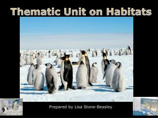 Thematic Unit on Habitats