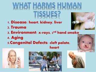 Disease: heart, kidney, liver Trauma Environment: x-rays, 2 nd hand smoke 4. Aging