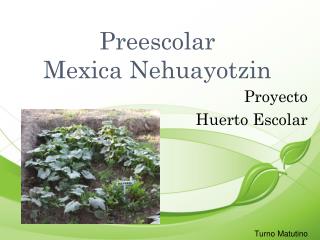 Preescolar Mexica Nehuayotzin