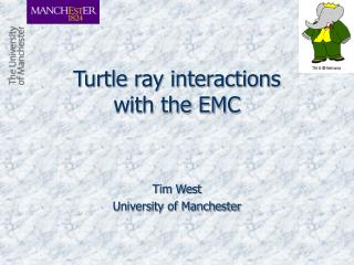 Turtle ray interactions with the EMC