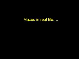 Mazes in real life….