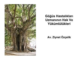 Göğüs Hastalıkları Uzmanının Hak Ve Yükümlülükleri Av. Ziynet Özçelik