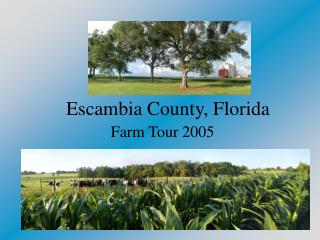 Escambia County, Florida