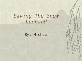 Saving The Snow Leopard