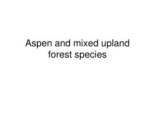 Aspen and mixed upland forest species