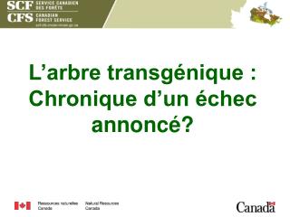 L’arbre transgénique : Chronique d’un échec annoncé?