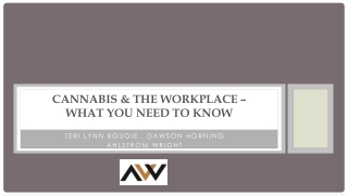 Cannabis & the Workplace – What you Need to Know