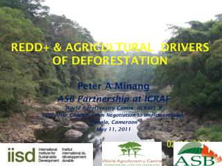 REDD+ &amp; AGRICULTURAL DRIVERS OF DEFORESTATION