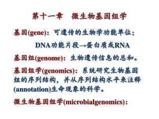 第十一章 微生物基因组学