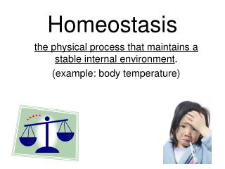 Homeostasis