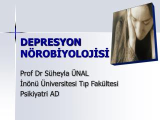 DEPRESYON NÖROBİYOLOJİSİ