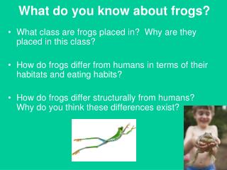 What do you know about frogs?
