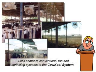 ‘Let’s compare conventional fan and sprinkling systems to the CowKool System .’