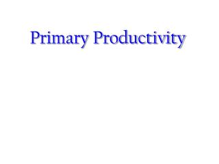 Primary Productivity