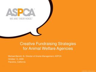 Creative Fundraising Strategies for Animal Welfare Agencies