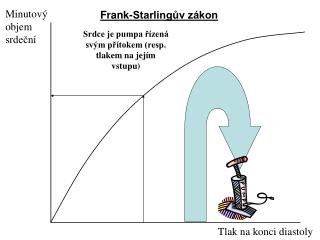 Minutový objem srdeční