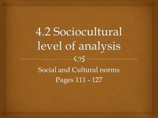 4.2 Sociocultural level of analysis