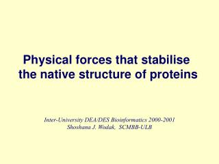Physical forces that stabilise the native structure of proteins