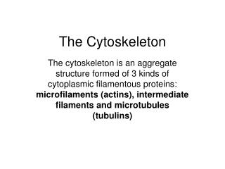 The Cytoskeleton