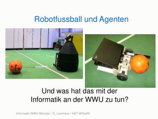 Robotfussball und Agenten