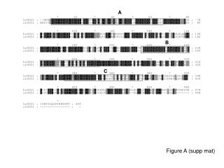 Figure A (supp mat)