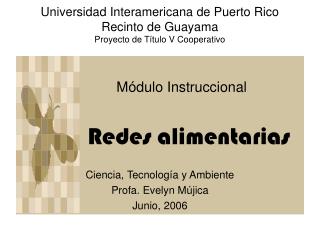 Universidad Interamericana de Puerto Rico Recinto de Guayama Proyecto de Título V Cooperativo