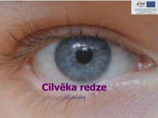 Cilvēka redze