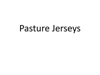 Pasture Jerseys