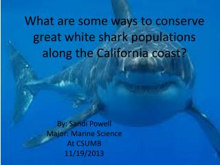 What are some ways to conserve great white shark populations along the California coast?