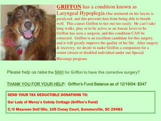 Please help us raise the $880 for Griffon to have this corrective surgery?
