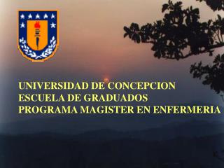 UNIVERSIDAD DE CONCEPCION ESCUELA DE GRADUADOS PROGRAMA MAGISTER EN ENFERMERIA