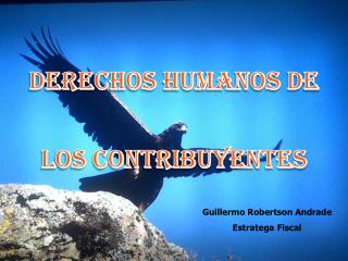 Derechos humanos de los contribuyentes